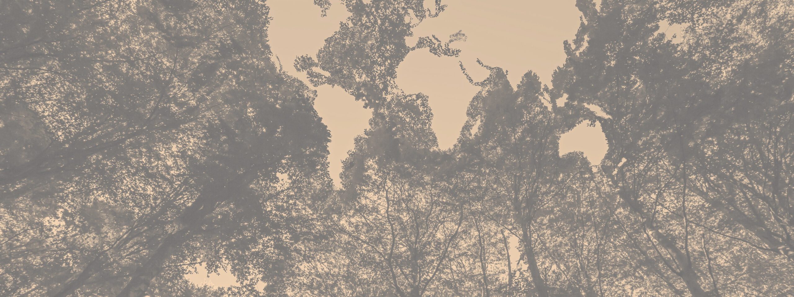 Foto Entenda a nova Lei Geral do Licenciamento Ambiental (“LGLA” — Lei Federal nº 15.190/2025)